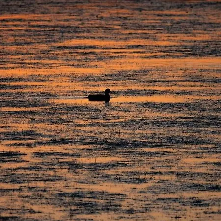 Hotel na wodzie Peniche Alphonsia Maria Villeneuve-lès-Maguelone